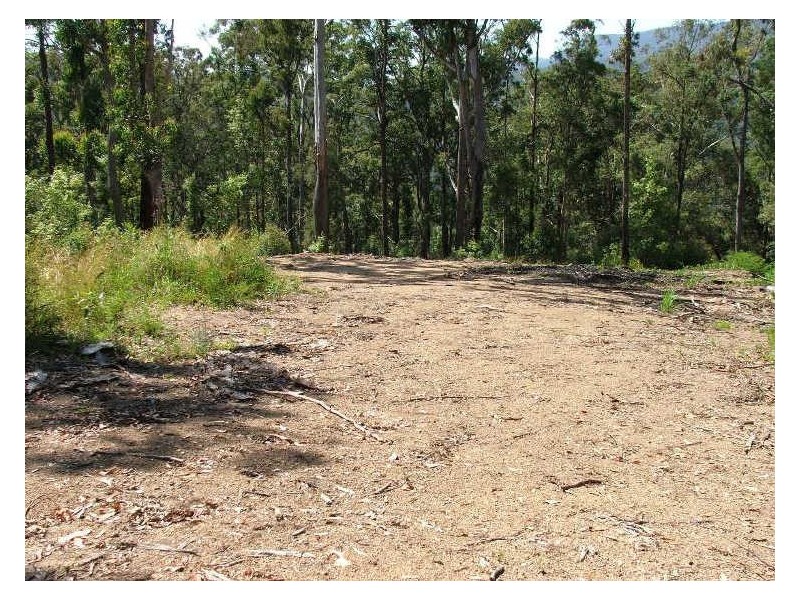 723 Rowlands Ck Rd, Uki NSW 2484