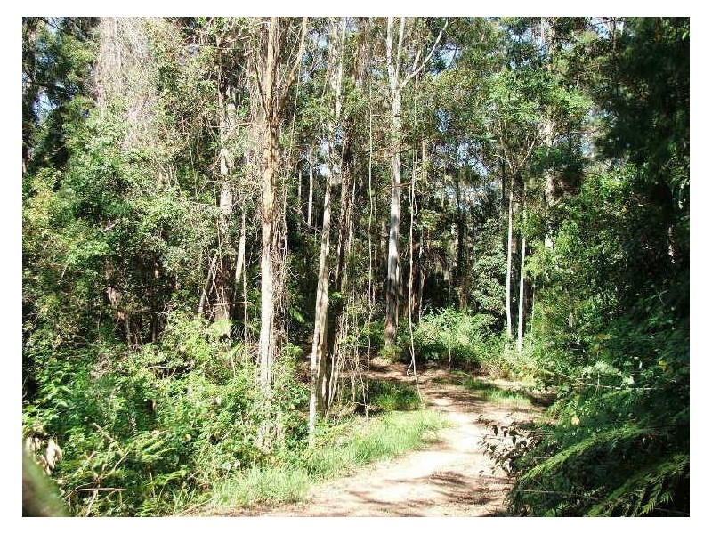 723 Rowlands Ck Rd, Uki NSW 2484