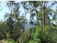 723 Rowlands Ck Rd, Uki NSW 2484