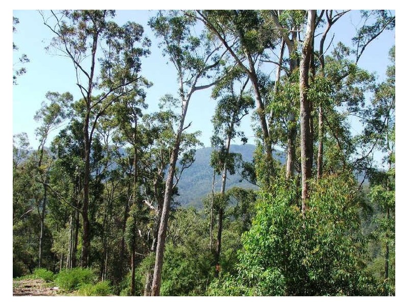 723 Rowlands Ck Rd, Uki NSW 2484