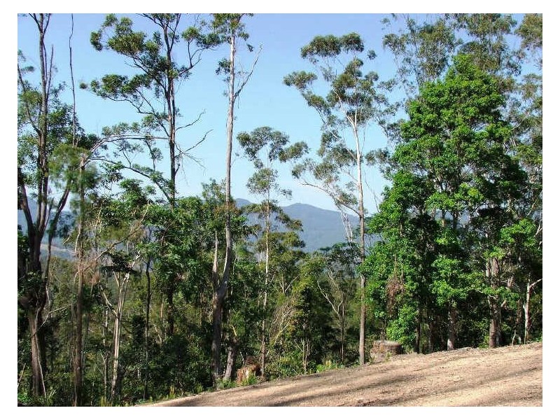 723 Rowlands Ck Rd, Uki NSW 2484