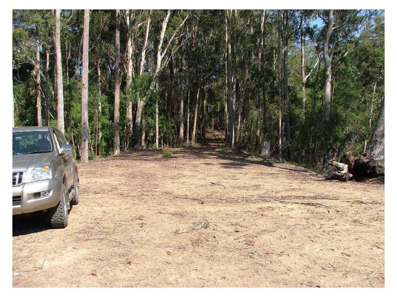 723 Rowlands Ck Rd, Uki NSW 2484