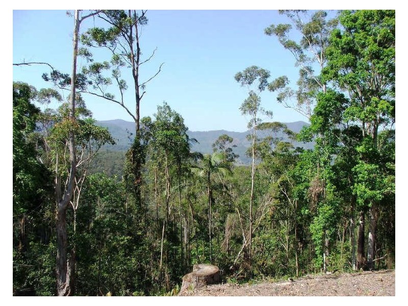 723 Rowlands Ck Rd, Uki NSW 2484
