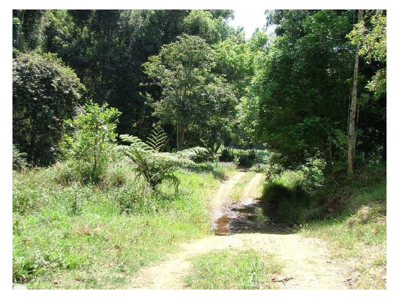 723 Rowlands Ck Rd, Uki NSW 2484