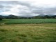 Murwillumbah NSW 2484
