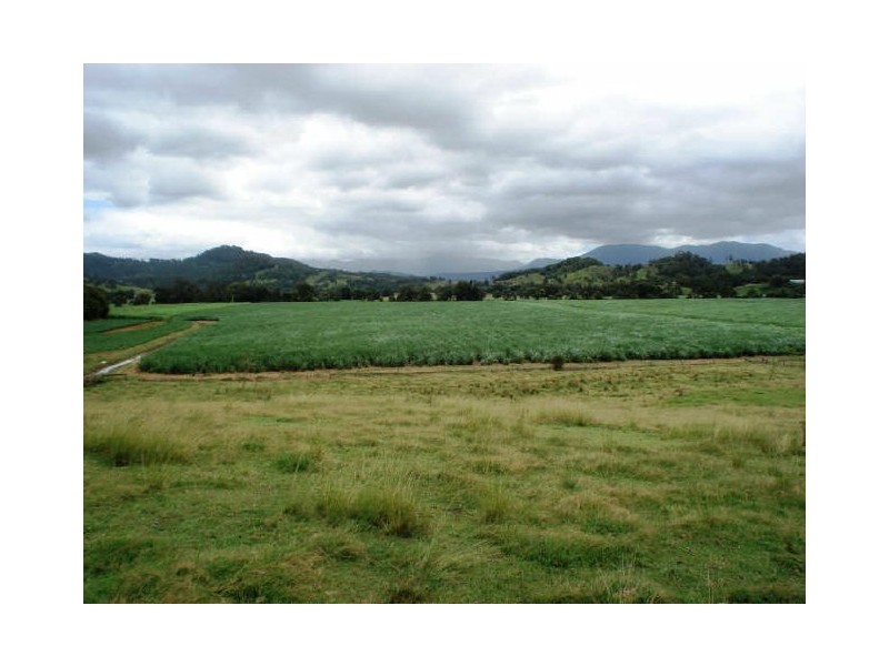 Murwillumbah NSW 2484