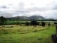 Murwillumbah NSW 2484