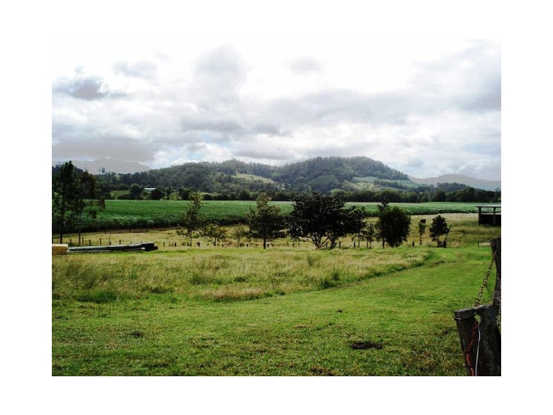 Murwillumbah NSW 2484
