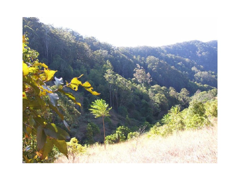 Murwillumbah NSW 2484