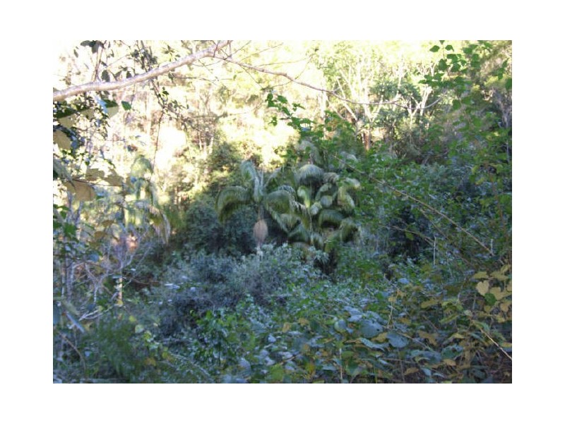 Murwillumbah NSW 2484