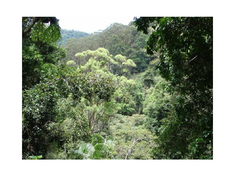 Murwillumbah NSW 2484