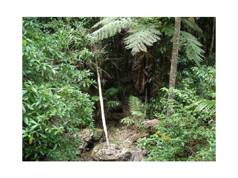 Murwillumbah NSW 2484