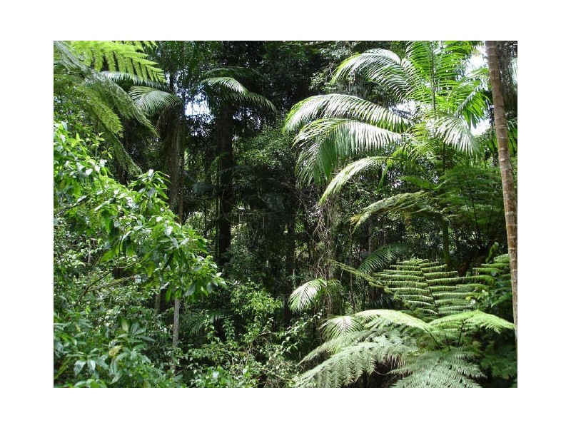 Murwillumbah NSW 2484