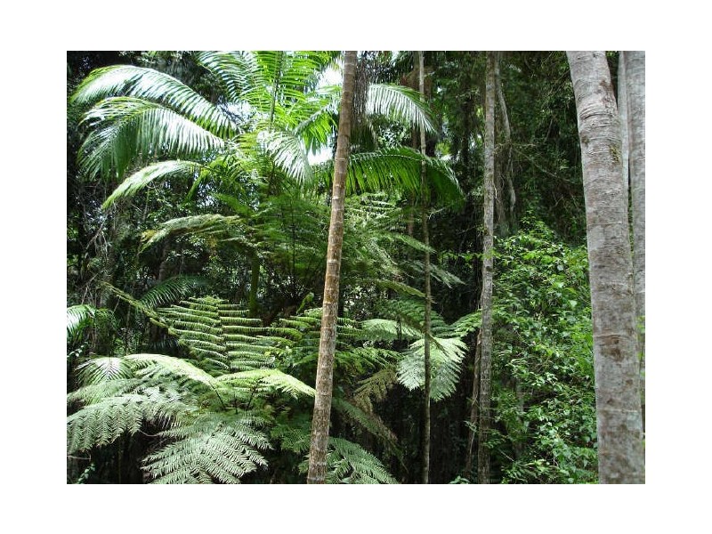 Murwillumbah NSW 2484