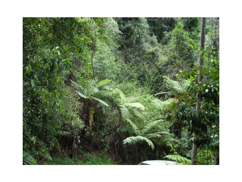 Murwillumbah NSW 2484