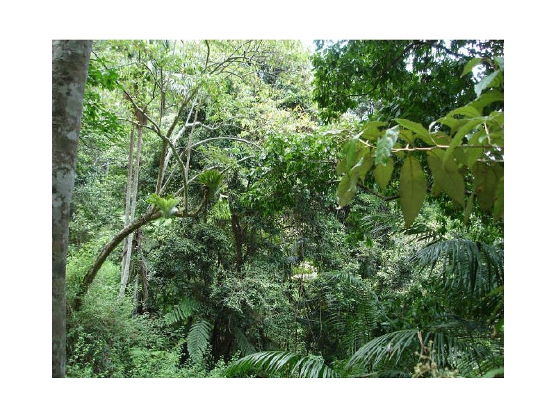 Murwillumbah NSW 2484