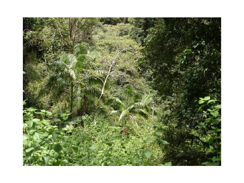 Murwillumbah NSW 2484