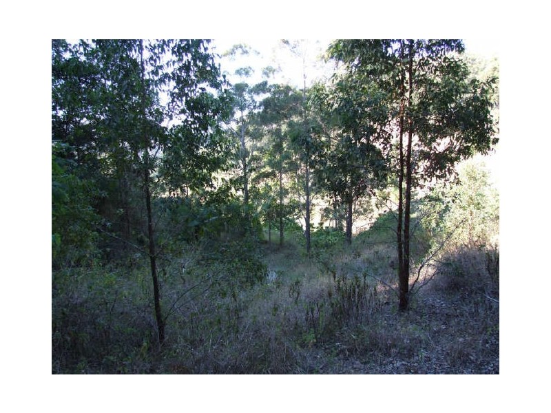 Murwillumbah NSW 2484