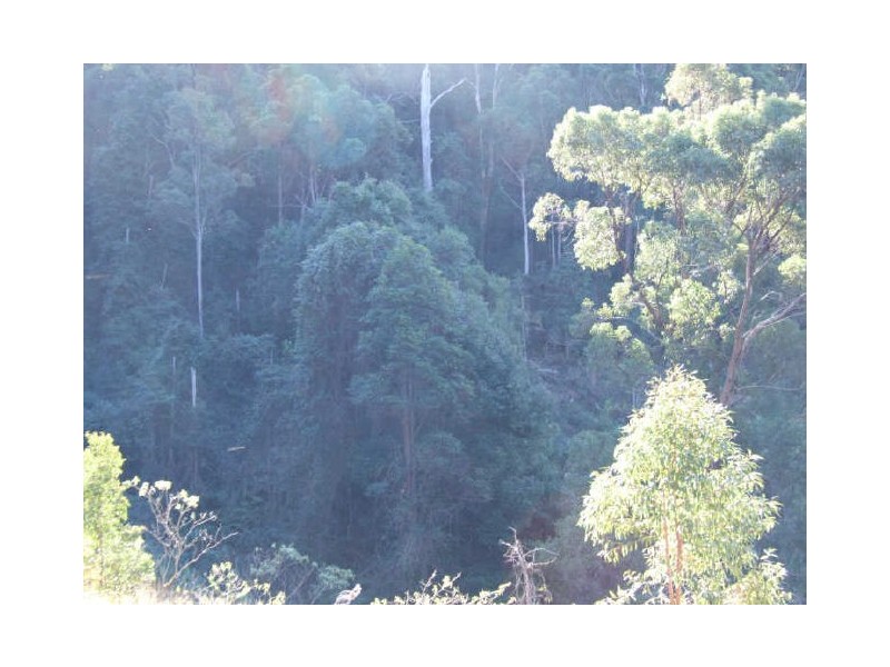 Murwillumbah NSW 2484