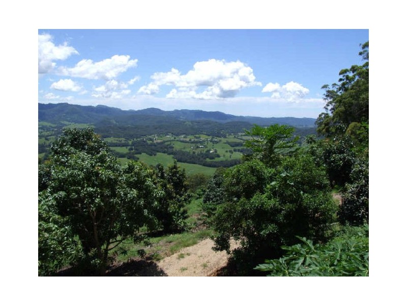 Murwillumbah NSW 2484