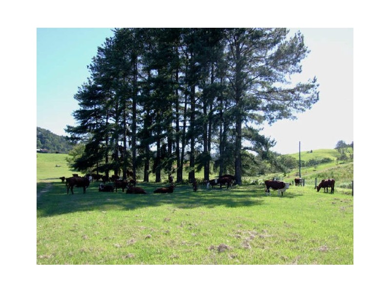 Murwillumbah NSW 2484