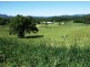 Murwillumbah NSW 2484
