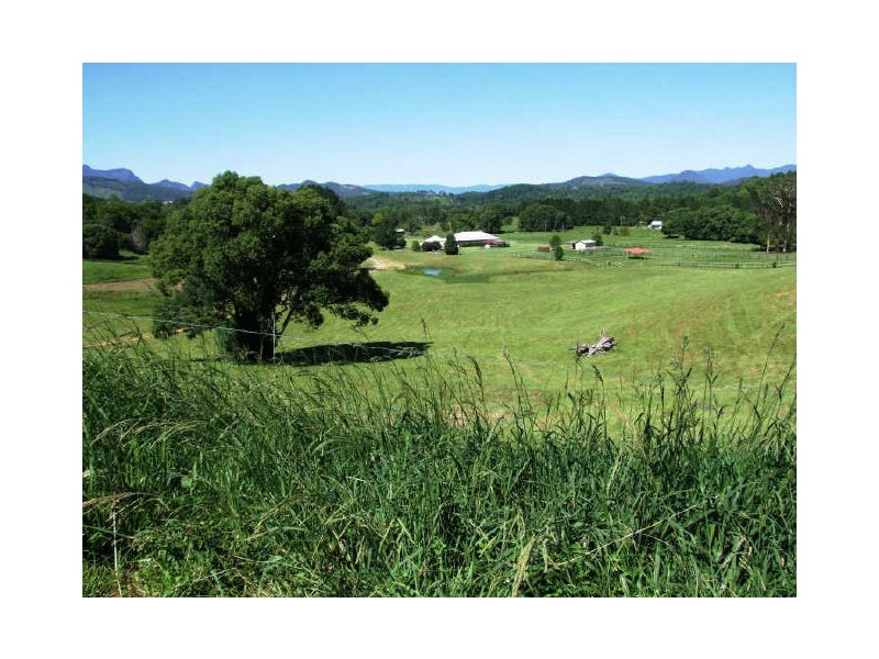 Murwillumbah NSW 2484