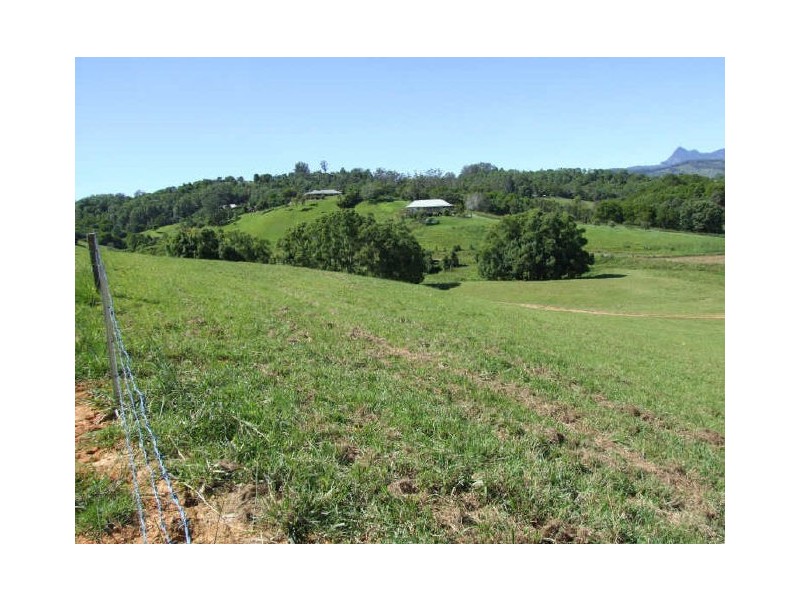 Murwillumbah NSW 2484