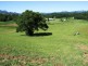 Murwillumbah NSW 2484