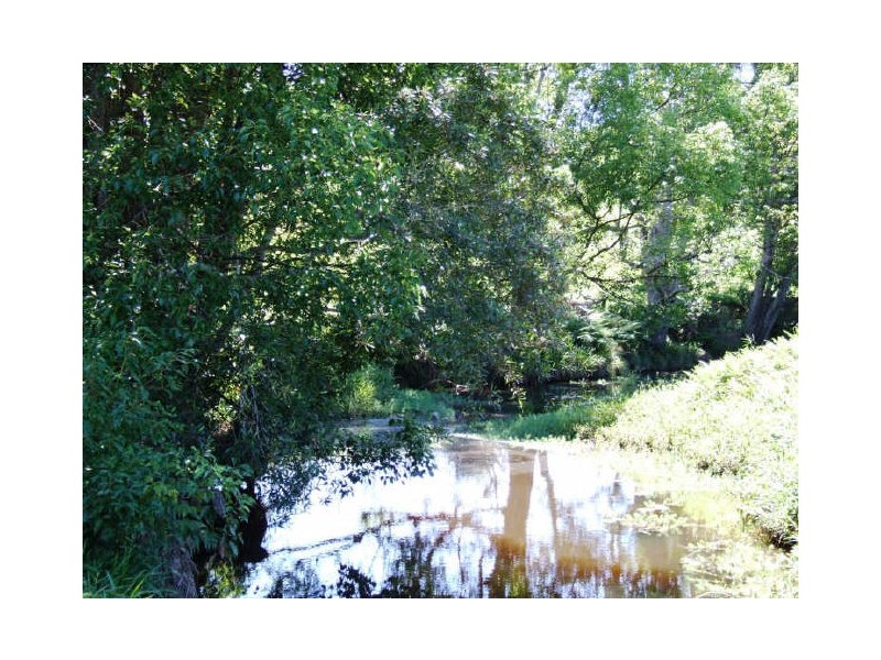 Murwillumbah NSW 2484