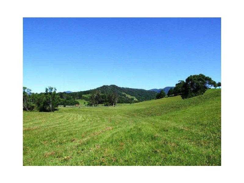 Murwillumbah NSW 2484