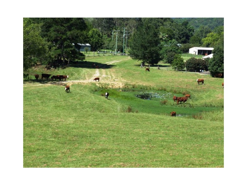 Murwillumbah NSW 2484