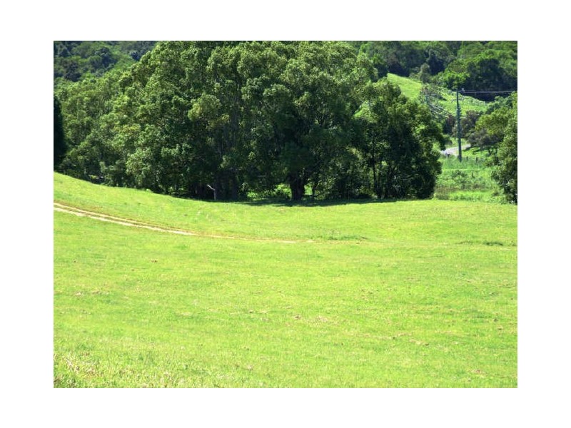 Murwillumbah NSW 2484