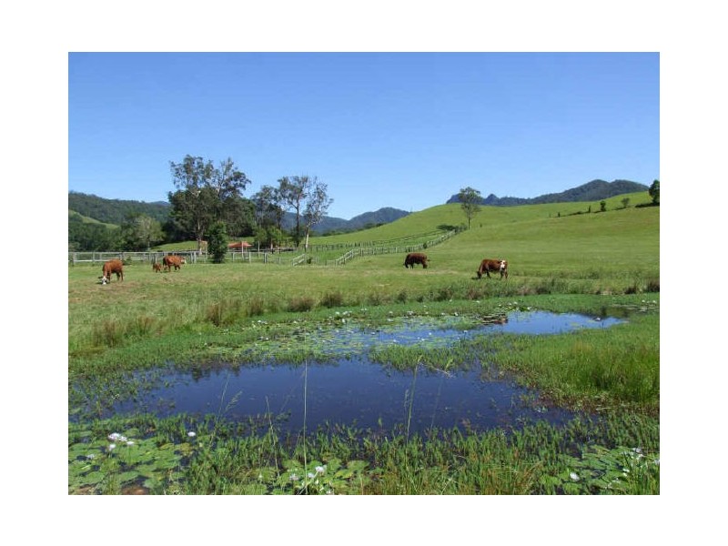 Murwillumbah NSW 2484