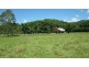 Crystal Creek NSW 2484