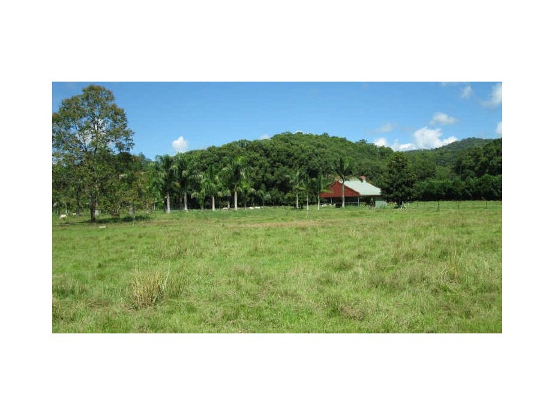 Crystal Creek NSW 2484