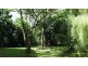 Crystal Creek NSW 2484