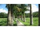 Crystal Creek NSW 2484