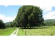 Crystal Creek NSW 2484