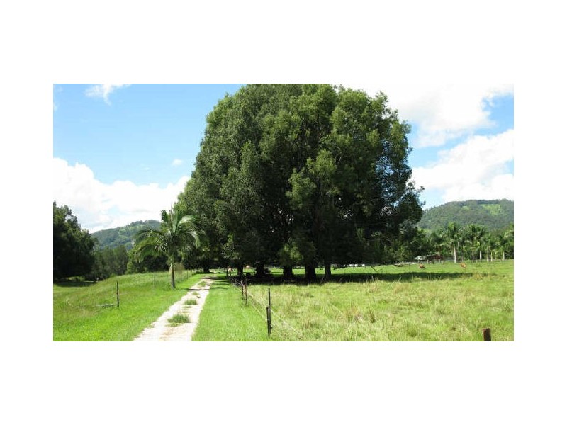 Crystal Creek NSW 2484