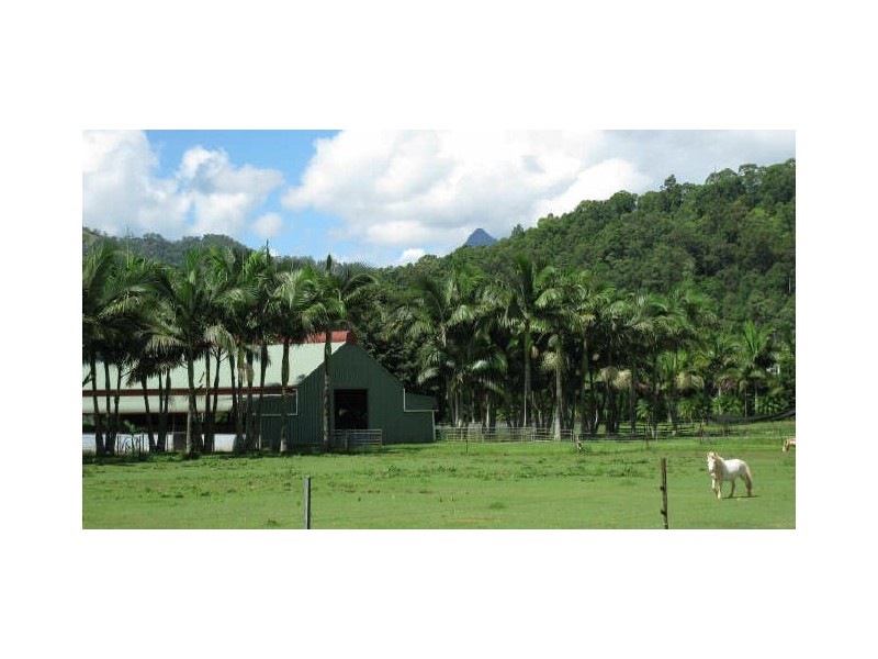 Crystal Creek NSW 2484