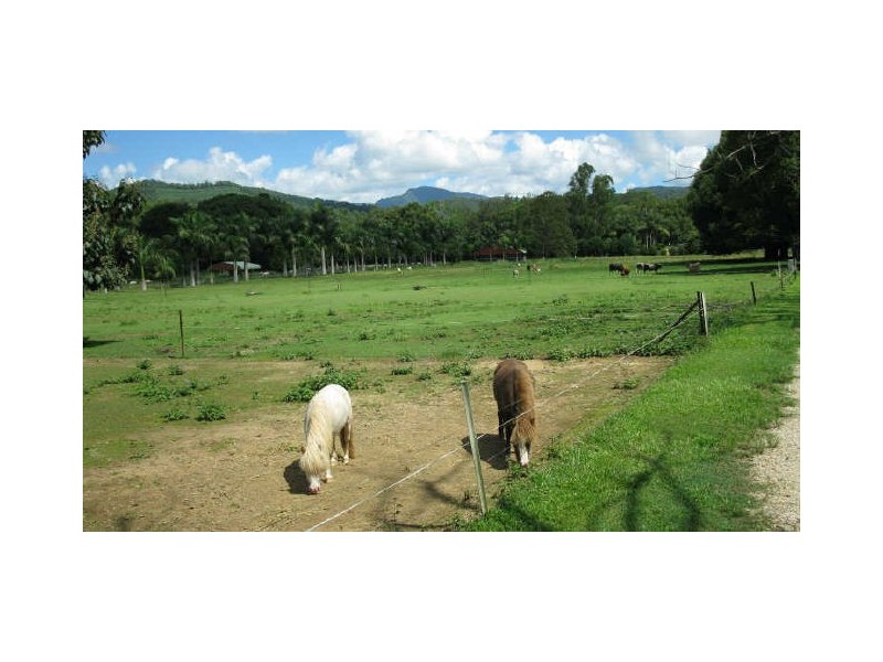 Crystal Creek NSW 2484