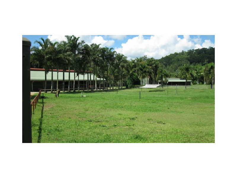 Crystal Creek NSW 2484