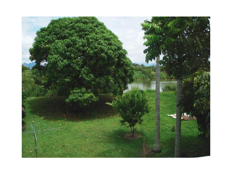 Murwillumbah NSW 2484