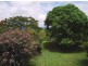 Murwillumbah NSW 2484
