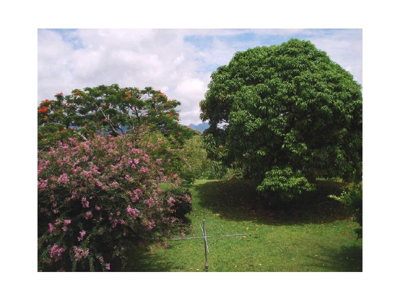 Murwillumbah NSW 2484