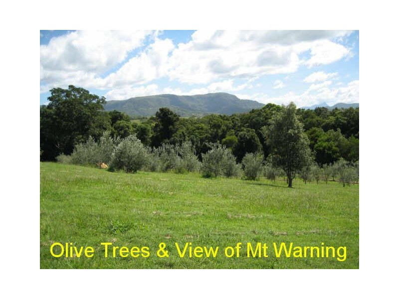 Mullumbimby NSW 2482