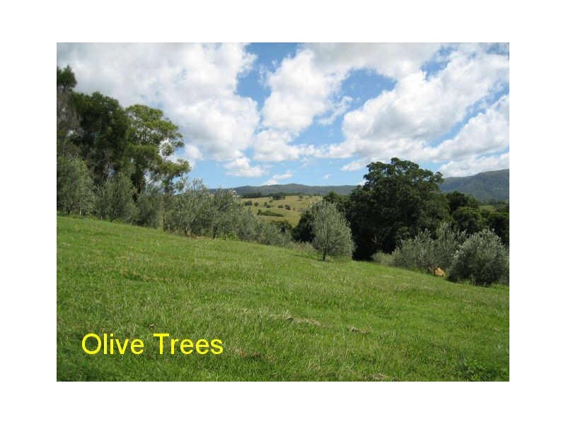 Mullumbimby NSW 2482