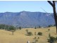 Murwillumbah NSW 2484