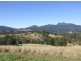 Murwillumbah NSW 2484